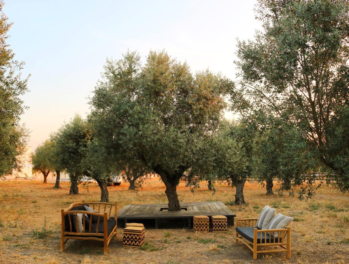 Torre De Palma Wine Hotel, Monforte, A Member Of Design Hotels Dış mekan fotoğraf