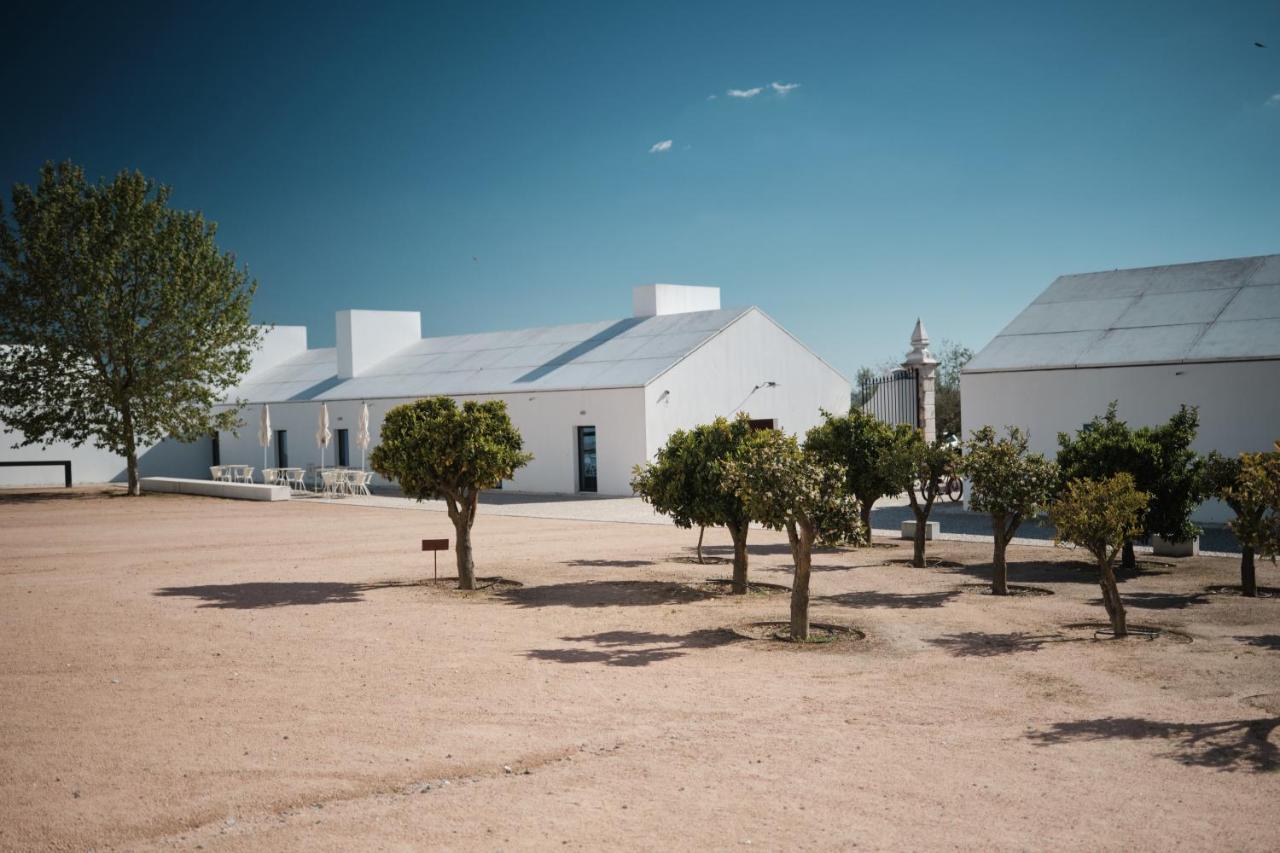 Torre De Palma Wine Hotel, Monforte, A Member Of Design Hotels Dış mekan fotoğraf